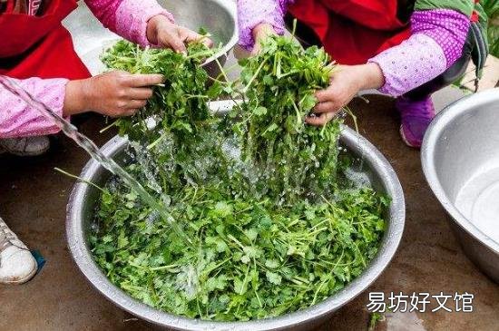 洗菜怎么才能洗掉农药