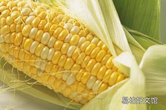 玉米属于什么垃圾