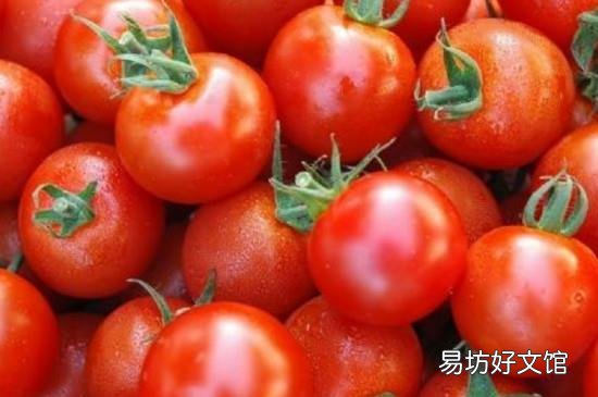 樱桃和西红柿能一起吃吗