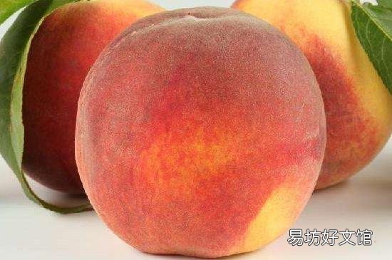 桃和啤酒能一起吃吗