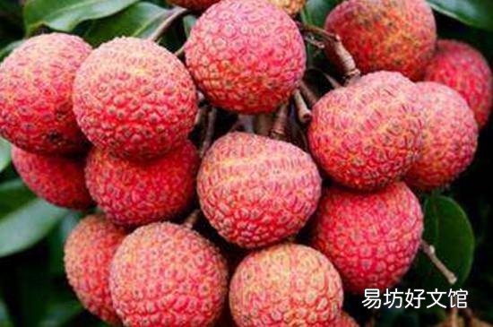 荔枝和杨梅可以一起吃吗