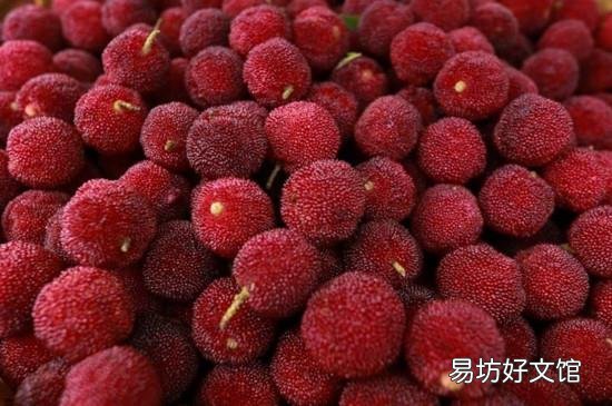 杨梅和肉能一起吃吗