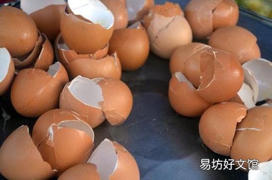 鸡蛋壳是干拉圾还是湿垃圾