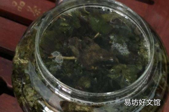 冲泡乌龙茶的三要素
