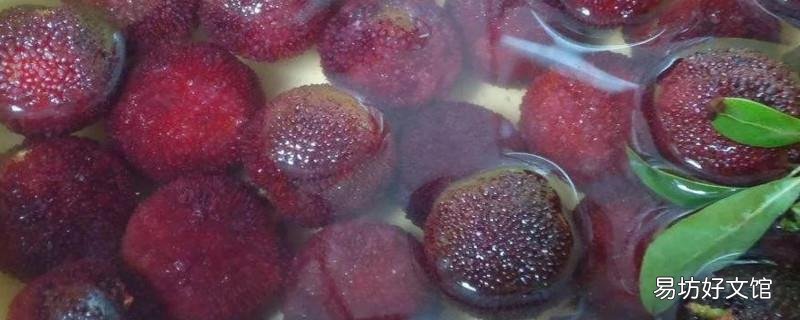 为什么杨梅泡不出虫子