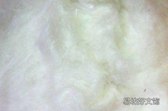 桑蚕丝的优缺点