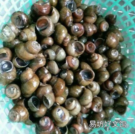 大螺丝的做法