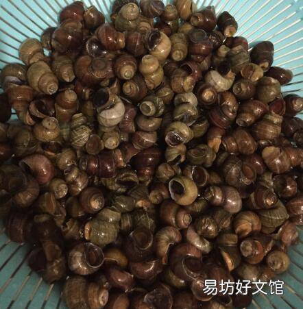 大螺丝的做法