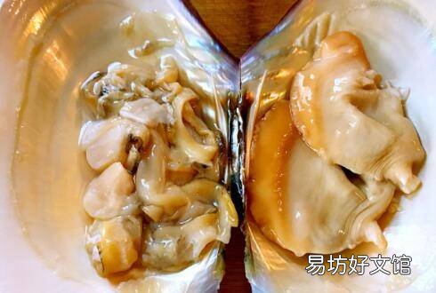 大贝壳怎么做好吃
