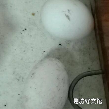 饭豆怎么做好吃