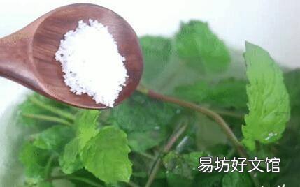 新鲜的薄荷怎么吃