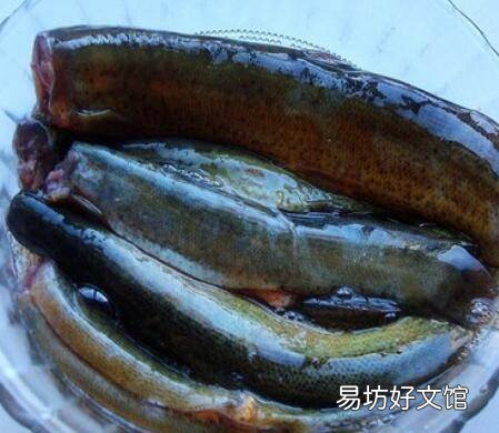 泥鳅怎么煮好吃