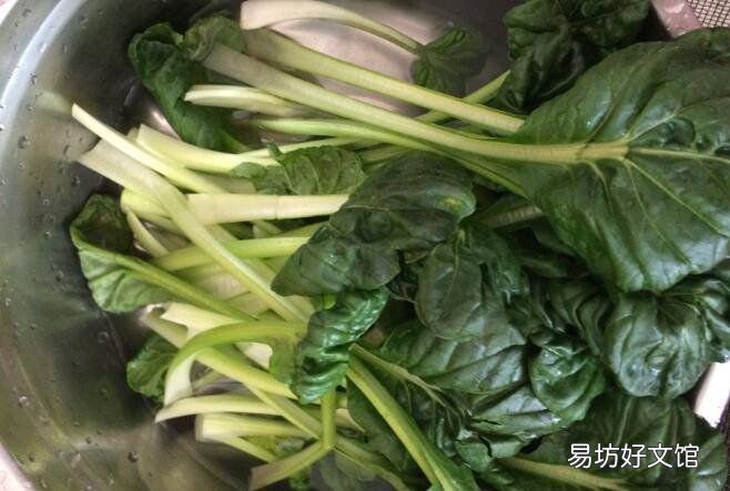 菊花菜的做法