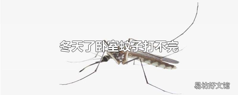 冬天了卧室蚊子打不完