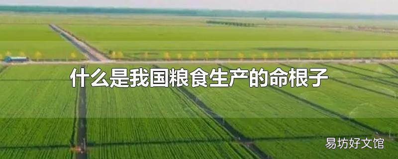 什么是我国粮食生产的命根子