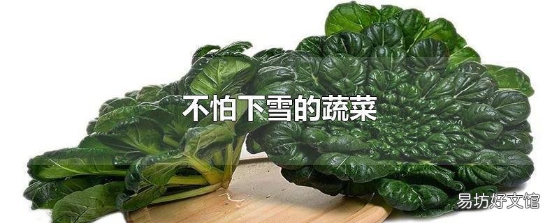 不怕下雪的蔬菜