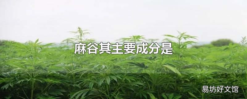 麻谷其主要成分是