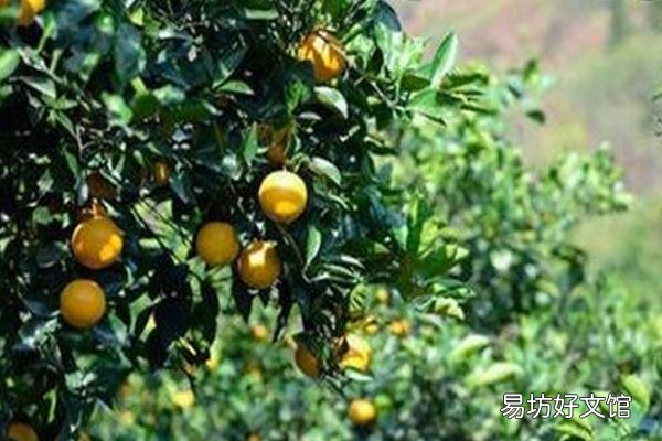 永兴县属于哪个市 永兴县属于郴州市