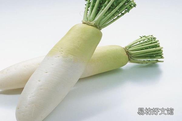 泡萝卜怎么泡又脆又好吃 泡萝卜如何保存