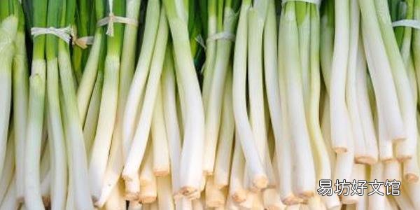 1~3月份适合种什么菜 1~3月份可以种植萝卜吗
