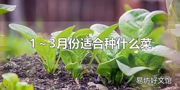 1~3月份适合种什么菜 1~3月份可以种植萝卜吗