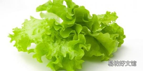 1~3月份适合种什么菜 1~3月份可以种植萝卜吗