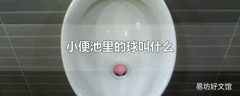 小便池里的球叫什么