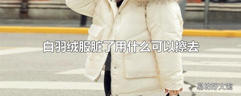 白羽绒服脏了用什么可以擦去