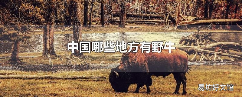 中国哪些地方有野牛