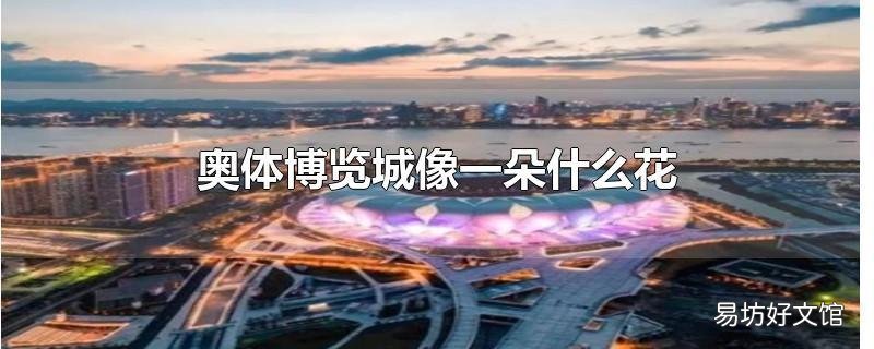 奥体博览城像一朵什么花