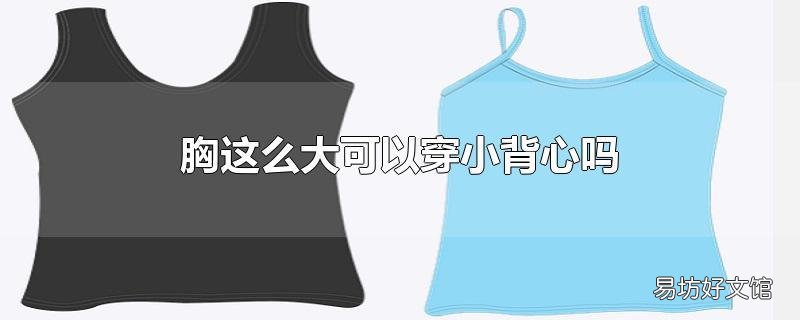 胸这么大可以穿小背心吗