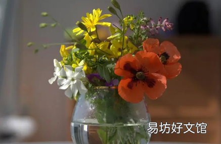 网上买的鲜花要醒花多久