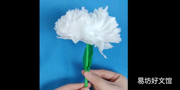 小白花怎么做