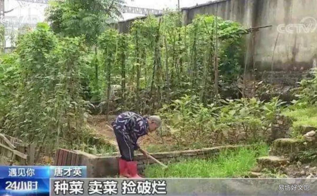 老人靠捡废品收养39名弃婴 领养孩子吧