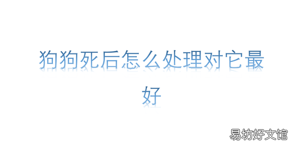 狗狗死后怎么处理对它最好