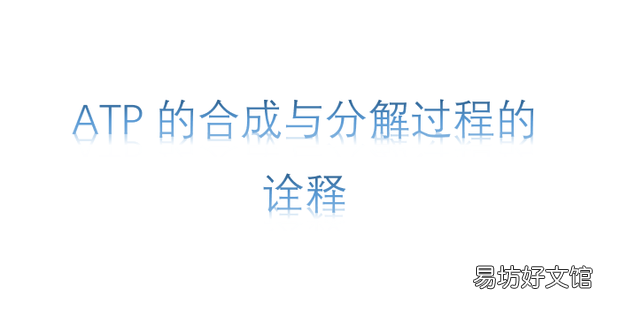 ATP的合成与分解过程的诠释