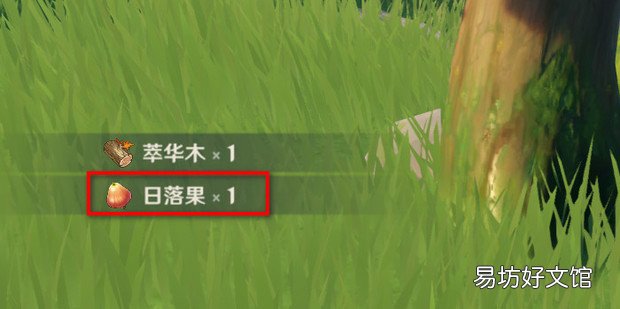 原神在哪里可以获取日落果