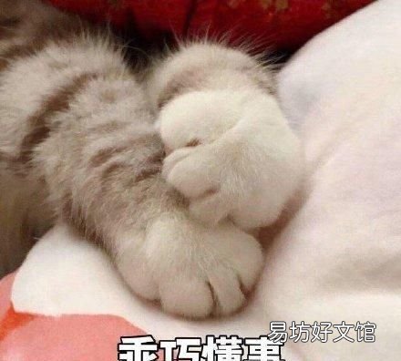 淘宝客服发的怎么保存到手机