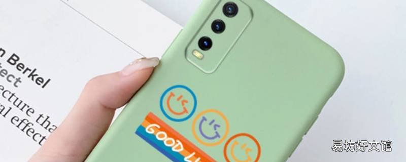 v2065a是什么手机型号