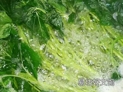 红薯叶子怎么吃