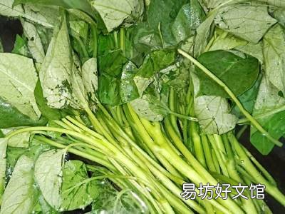 红薯叶子怎么吃