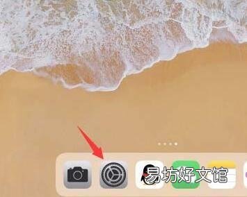 ipad系统占内存很大怎么清理