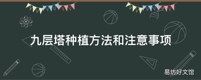 九层塔种植方法和注意事项