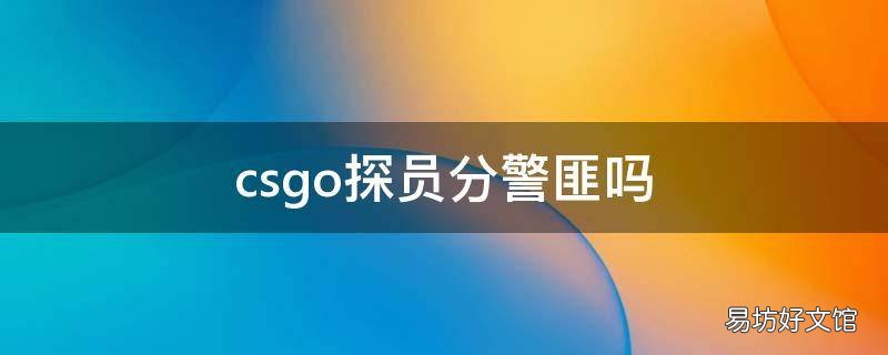 csgo探员分警匪吗