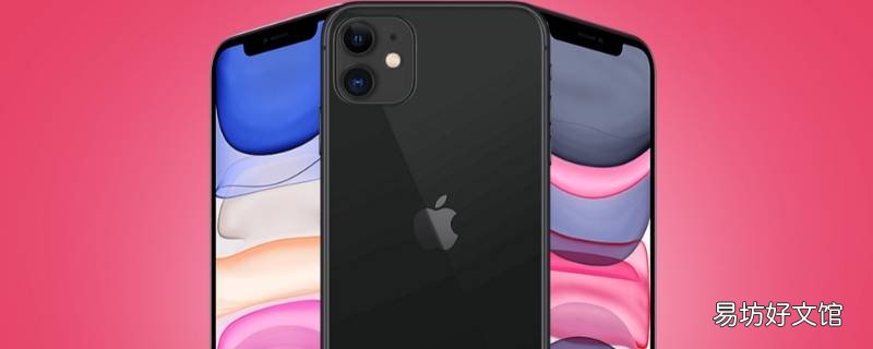 iphone 12支持5g网吗
