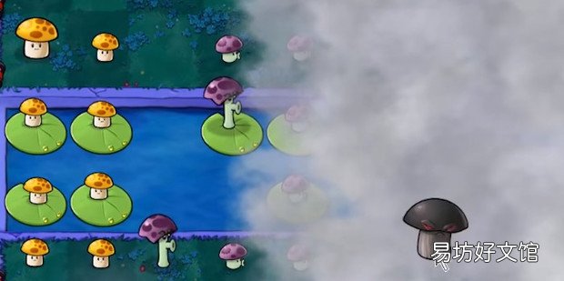 植物大战僵尸level4-8过关攻略