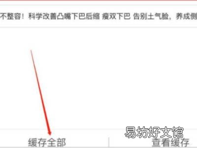 ios怎么导出b站缓存到相册