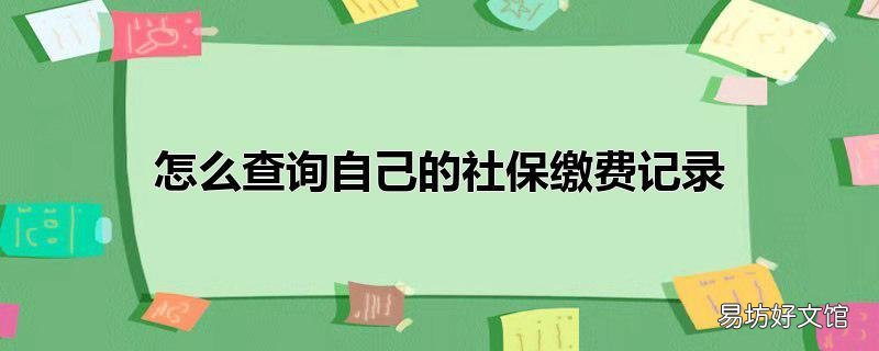 怎么查询自己的社保缴费记录