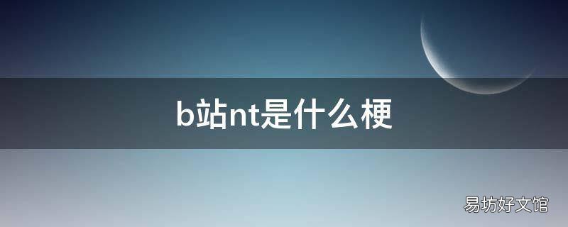 b站nt是什么梗