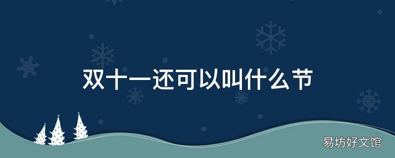 双十一还可以叫什么节